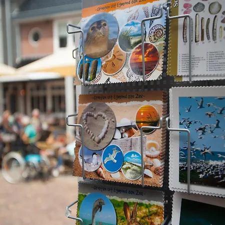In Сasa de vacaciones Egmond aan den Hoef